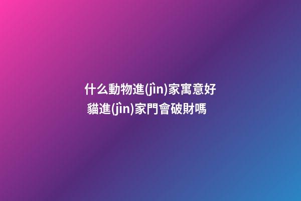 什么動物進(jìn)家寓意好 貓進(jìn)家門會破財嗎